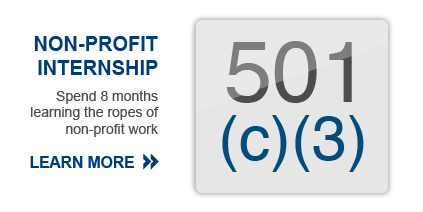 Non-Profit Internship